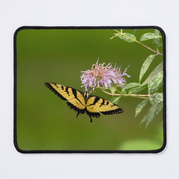 Item preview, Yellow swallowtail butterfly and bee balm designed and sold by KRFNatureGifts.