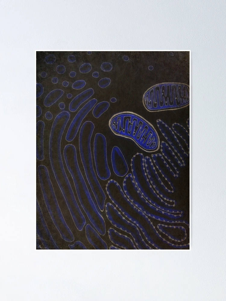 Thumbnail 1 of 3, Poster, Cell designed and sold by IschemicNeuron.
