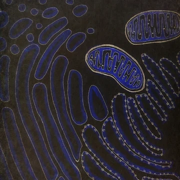 Artwork thumbnail, Cell by IschemicNeuron