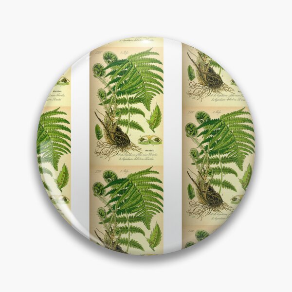 Item preview, Order Cyatheales designed and sold by PatronesKawai.