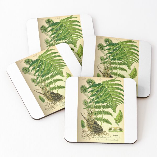 Item preview, Order Cyatheales designed and sold by PatronesKawai.