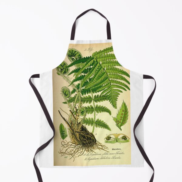 Item preview, Order Cyatheales designed and sold by PatronesKawai.