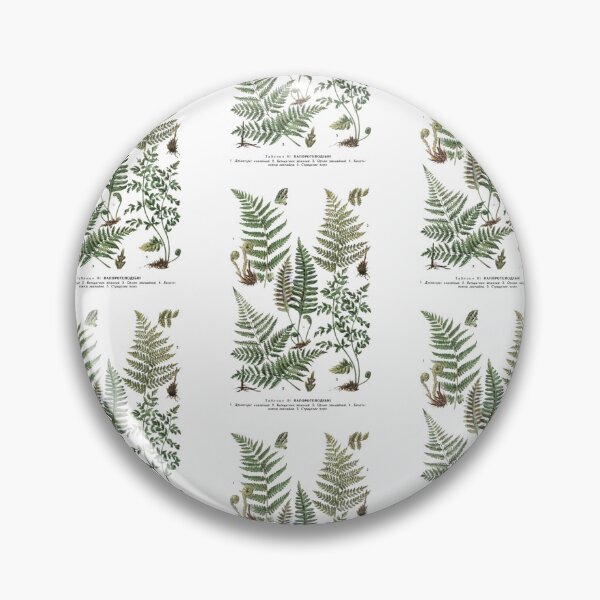 Item preview, Order Cyatheales designed and sold by PatronesKawai.