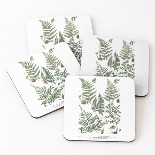 Item preview, Order Cyatheales designed and sold by PatronesKawai.