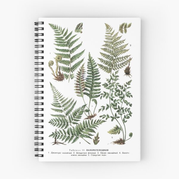Item preview, Order Cyatheales designed and sold by PatronesKawai.