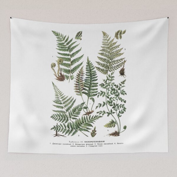 Item preview, Order Cyatheales designed and sold by PatronesKawai.