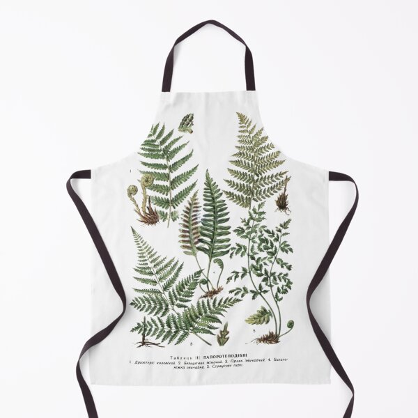 Item preview, Order Cyatheales designed and sold by PatronesKawai.