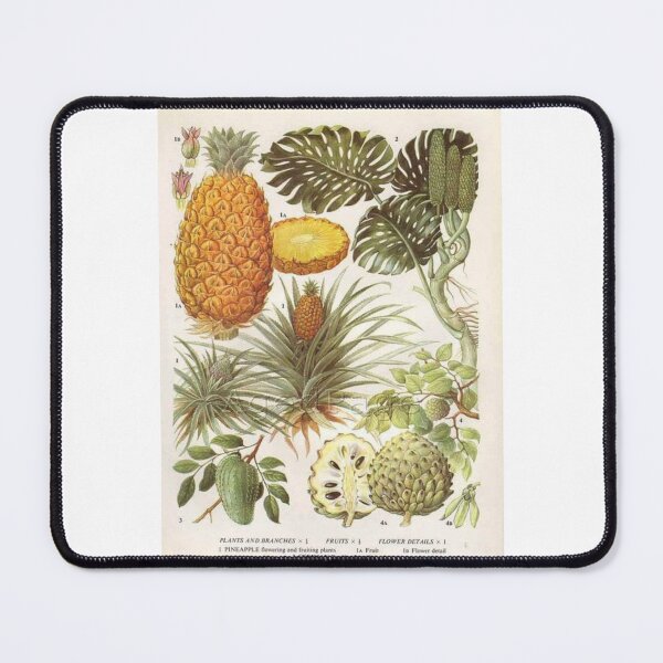 Item preview, Pinales Order designed and sold by PatronesKawai.
