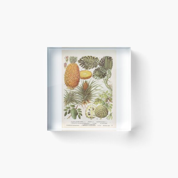 Item preview, Pinales Order designed and sold by PatronesKawai.