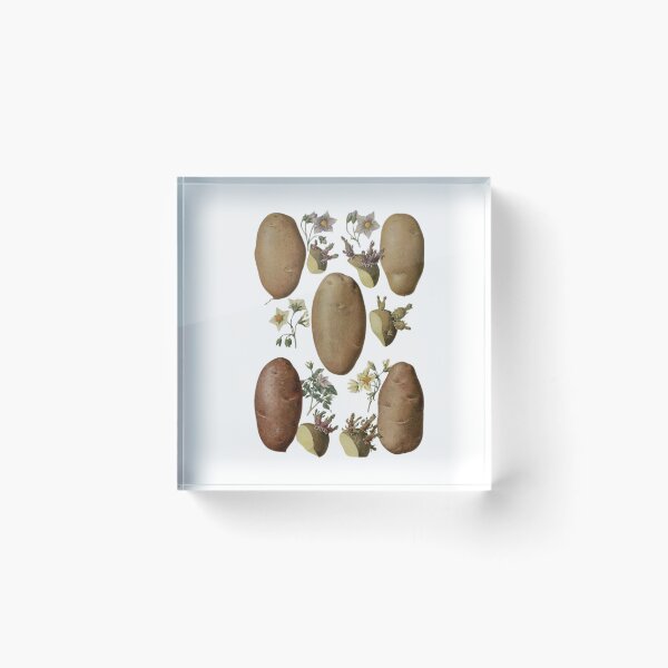 Item preview, Flowers of Solanum tuberosum (potato-potato) designed and sold by PatronesKawai.