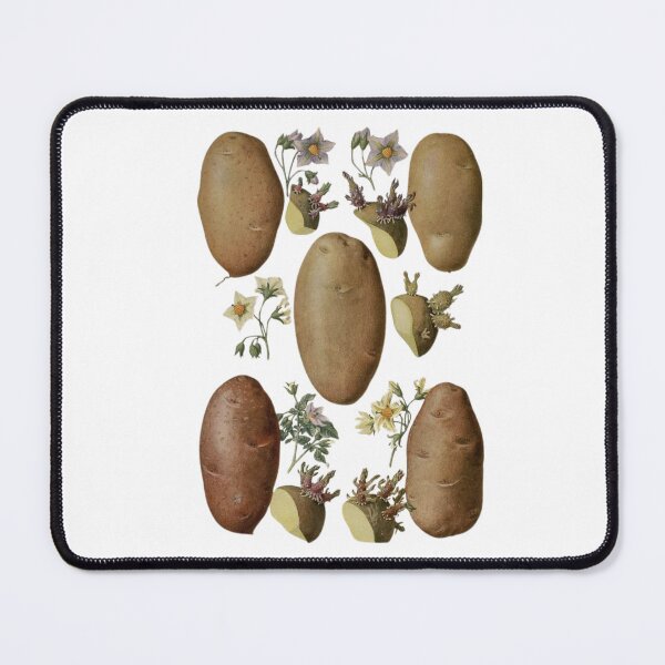 Item preview, Flowers of Solanum tuberosum (potato-potato) designed and sold by PatronesKawai.