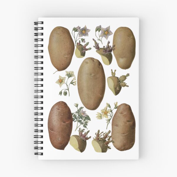 Item preview, Flowers of Solanum tuberosum (potato-potato) designed and sold by PatronesKawai.