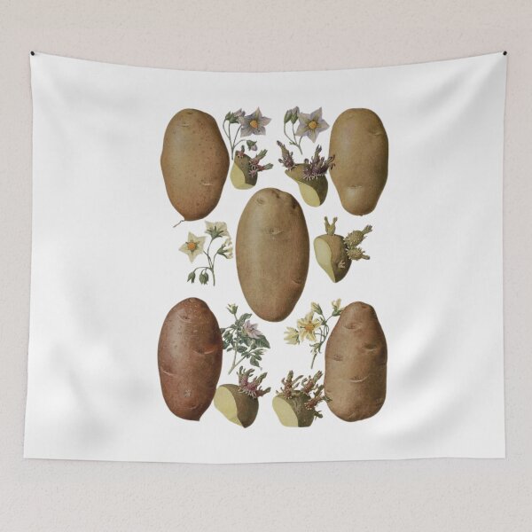 Item preview, Flowers of Solanum tuberosum (potato-potato) designed and sold by PatronesKawai.