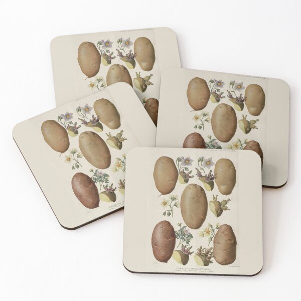 Item preview, Flowers of Solanum tuberosum (potato-potato) designed and sold by PatronesKawai.