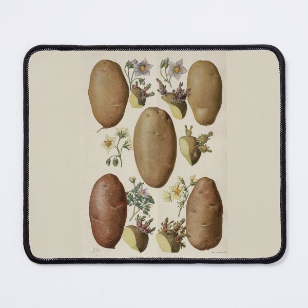 Item preview, Flowers of Solanum tuberosum (potato-potato) designed and sold by PatronesKawai.