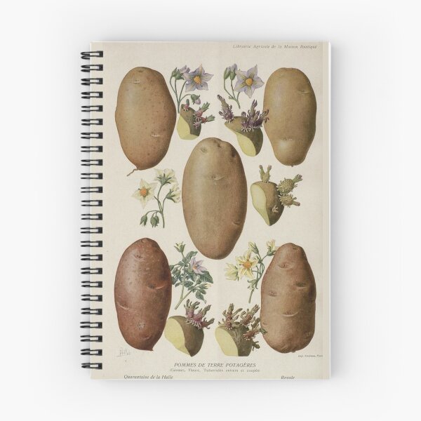 Item preview, Flowers of Solanum tuberosum (potato-potato) designed and sold by PatronesKawai.