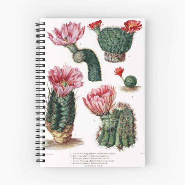 Item preview, Order Cyatheales designed and sold by PatronesKawai.
