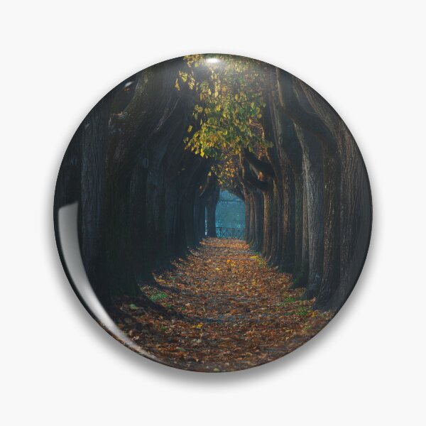 Item preview, Tree tunnel walkway. Lucca, Italy. designed and sold by Stefano Orazzini.