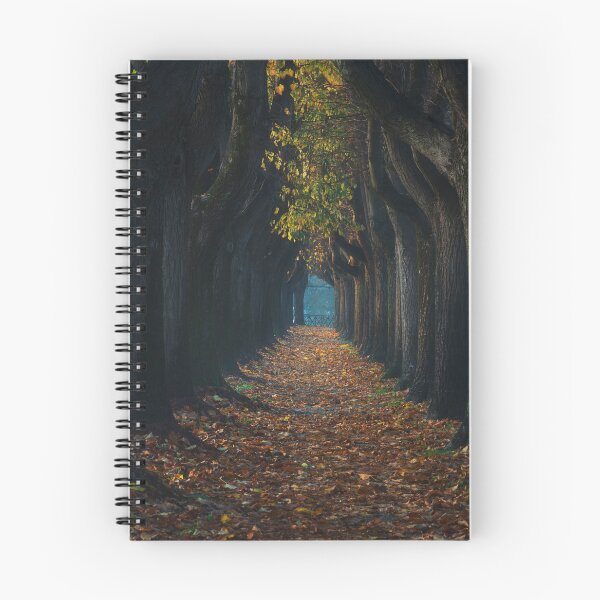 Item preview, Tree tunnel walkway. Lucca, Italy. designed and sold by Stefano Orazzini.