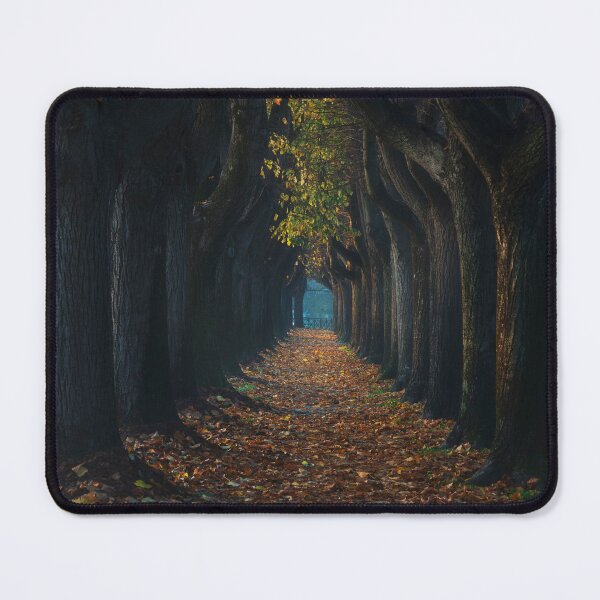 Item preview, Tree tunnel walkway. Lucca, Italy. designed and sold by Stefano Orazzini.