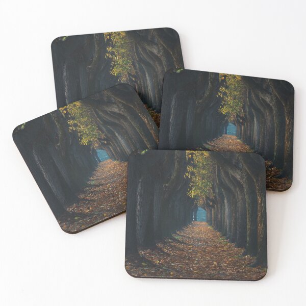 Item preview, Tree tunnel walkway. Lucca, Italy. designed and sold by Stefano Orazzini.