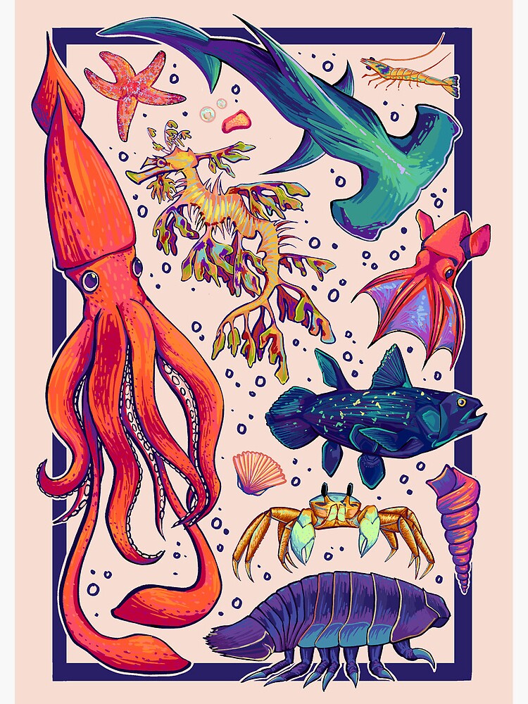 Thumbnail 3 of 3, Journal, Fun Colourful Sea Creatures designed and sold by cabbage-illu.