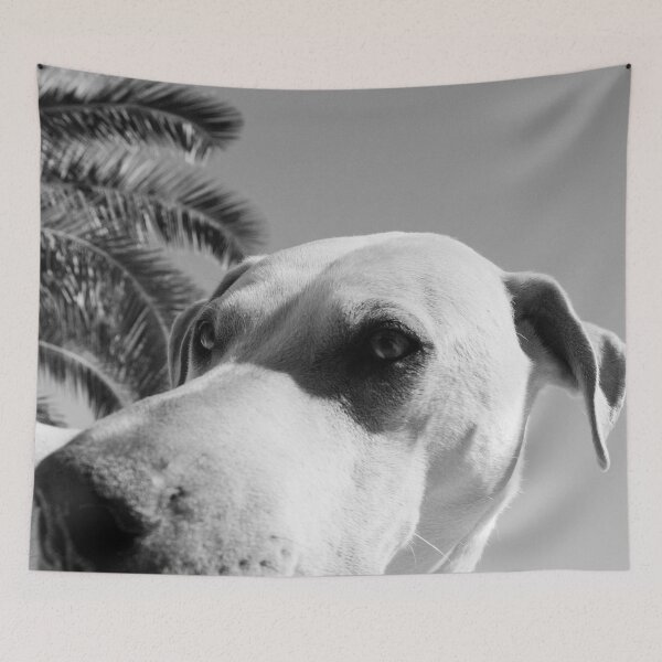 Item preview, Sunny Lab designed and sold by RamDesign12.