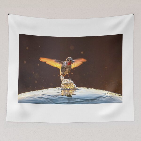 Item preview, Humming bird hovering over a bubbling fountain designed and sold by CSFPhotography.