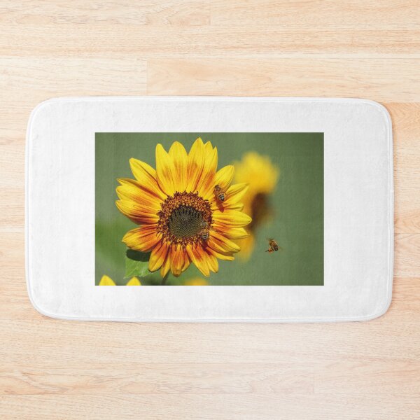 Item preview, Bees and a Sunflower designed and sold by CSFPhotography.