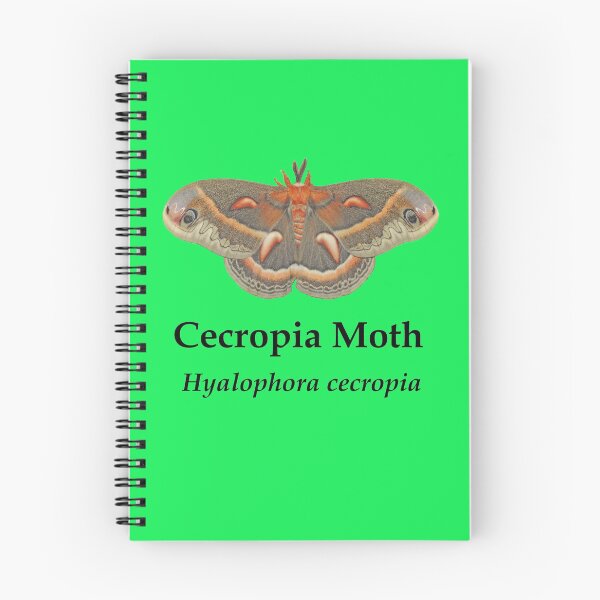 Item preview, Cecropia Moth - Black Lettering designed and sold by FroghavenFarm.