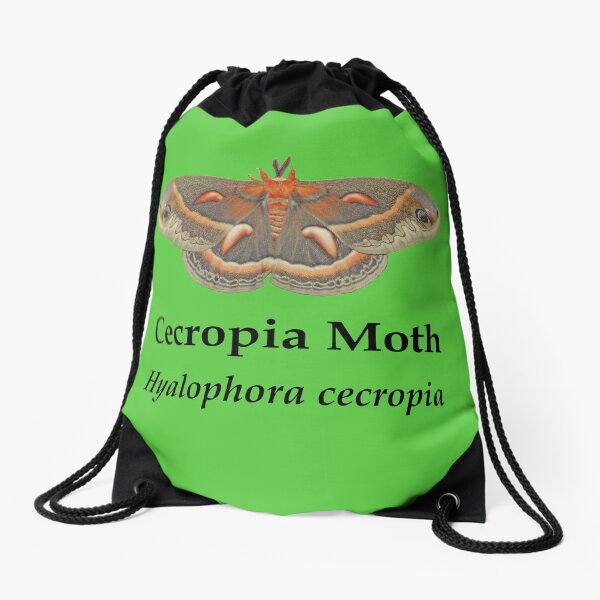 Cecropia Moth - Black Lettering Drawstring Bag