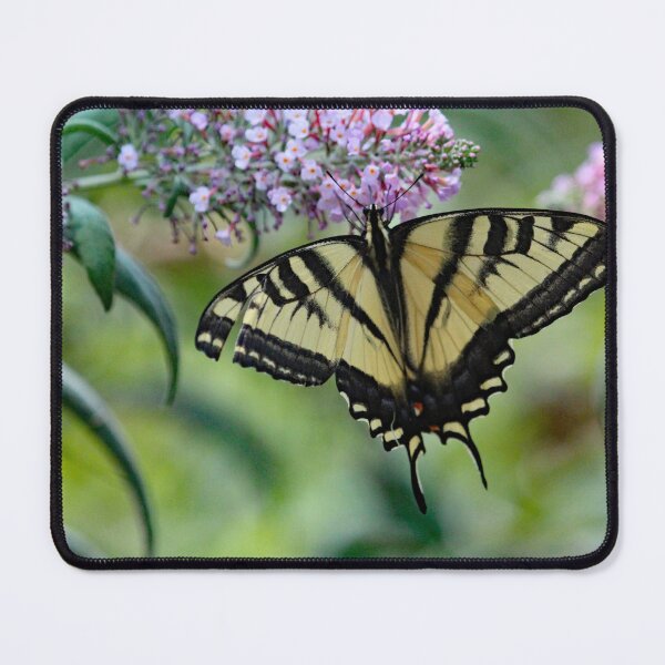 Item preview, Yellow Swallowtail Butterfly designed and sold by CSFPhotography.
