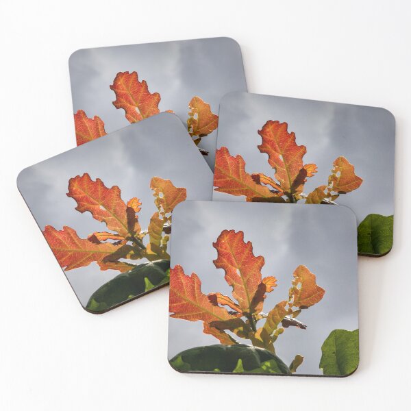 Item preview, Leaves under the sun designed and sold by jasminewang.