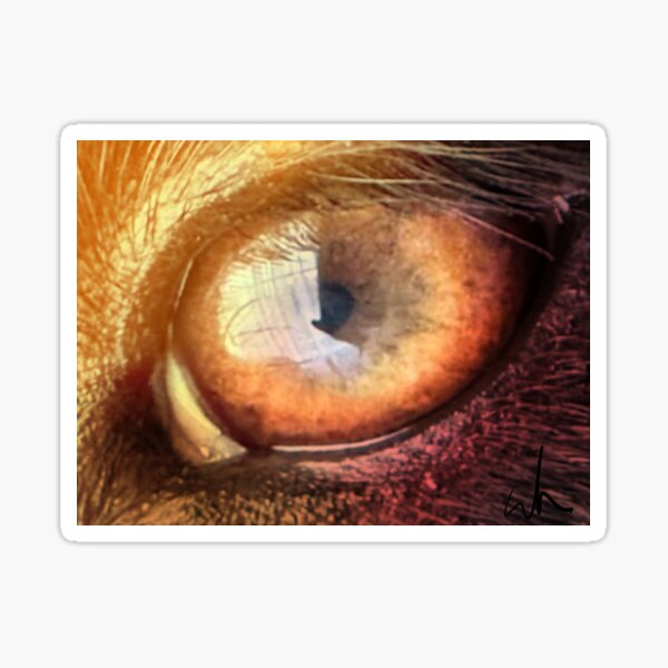 Item preview, My Puppies Eye designed and sold by TheRetroE.
