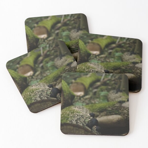 Item preview, Fungi On Woodland Logs designed and sold by kingofclubs.