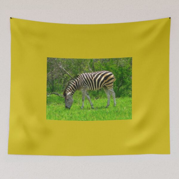 Item preview, Zebra, Kruger National Park, South Africa designed and sold by vadim19.