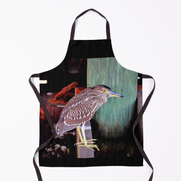 Item preview,  Juvenile Yellow Crowned Night Heron designed and sold by Savannah Gibbs.