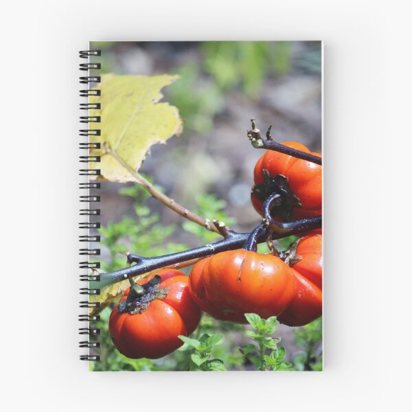 Item preview, Vine Tomatoes designed and sold by Cynthia48.