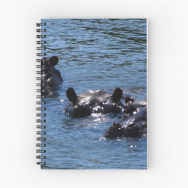 Item preview, Hippos, Chobe River, Chobe National Park, Botswana designed and sold by vadim19.