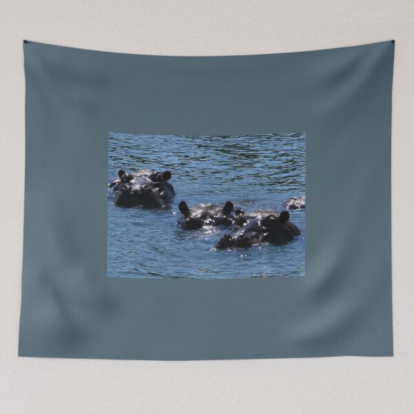 Item preview, Hippos, Chobe River, Chobe National Park, Botswana designed and sold by vadim19.