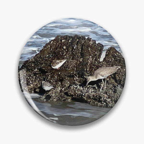 Item preview, Birds on Stump designed and sold by RML Artwork.
