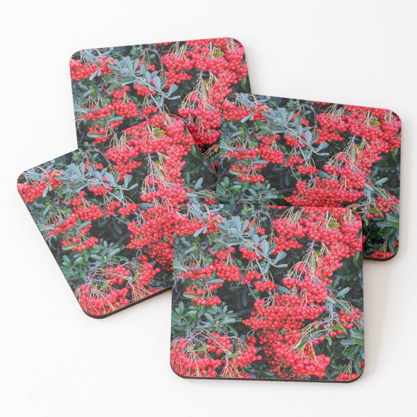 Item preview, Nandina Berries designed and sold by heatherfriedman.