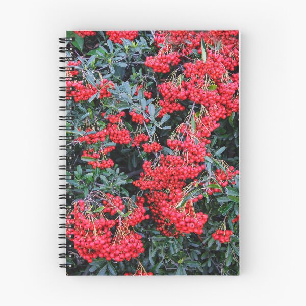 Item preview, Nandina Berries designed and sold by heatherfriedman.
