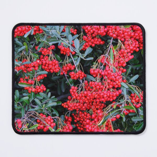 Item preview, Nandina Berries designed and sold by heatherfriedman.