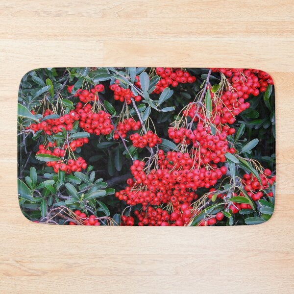 Item preview, Nandina Berries designed and sold by heatherfriedman.