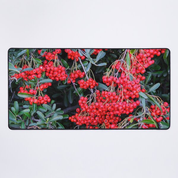 Item preview, Nandina Berries designed and sold by heatherfriedman.