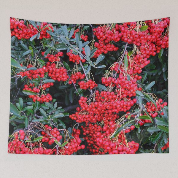 Item preview, Nandina Berries designed and sold by heatherfriedman.