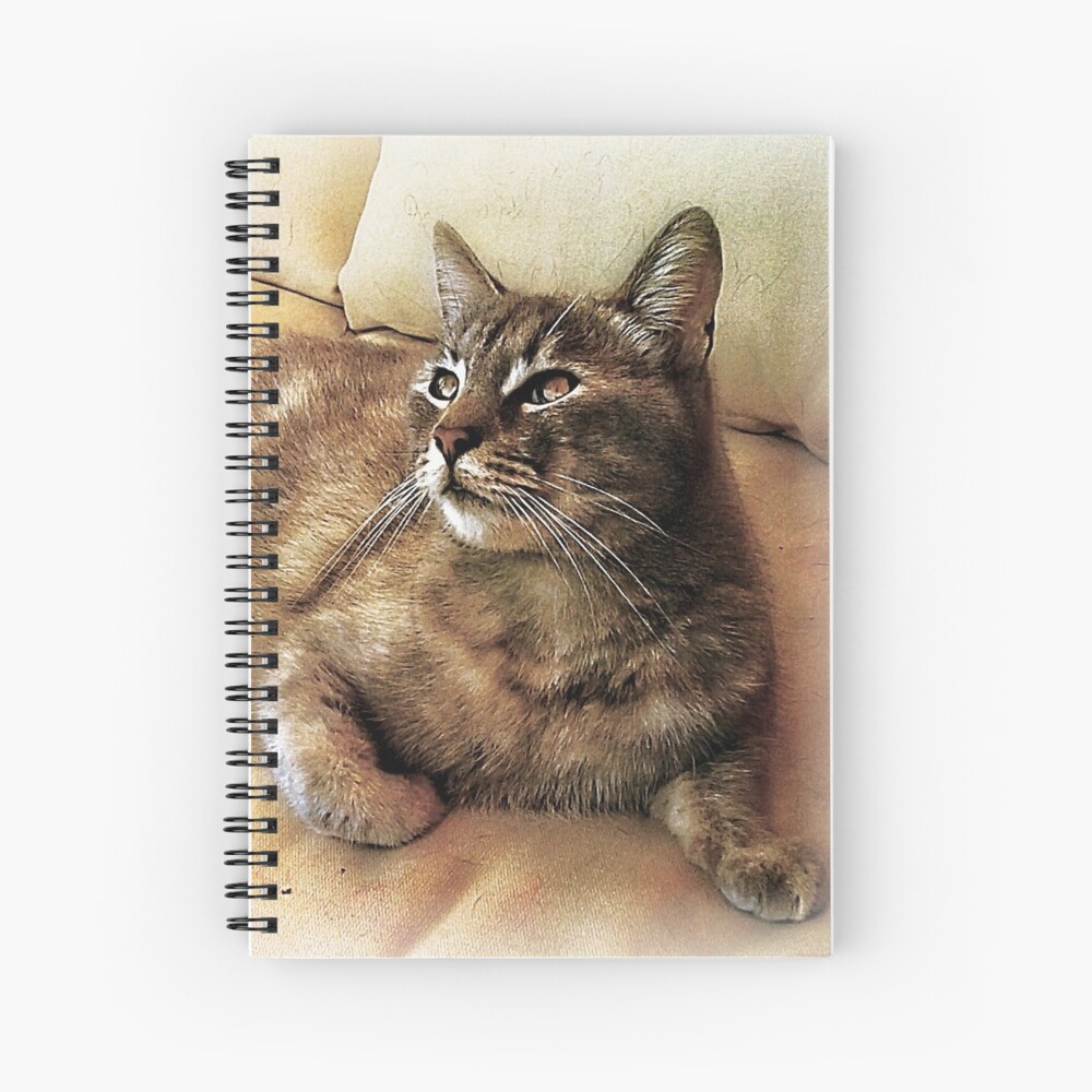 Watching The Birds Go By Spiral Notebook
