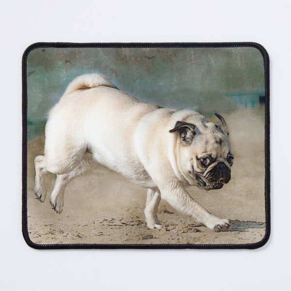 Item preview, When Pugs Fly designed and sold by Susan Werby.