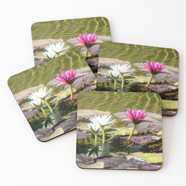 Item preview, Lily Pond Beauties designed and sold by heatherfriedman.